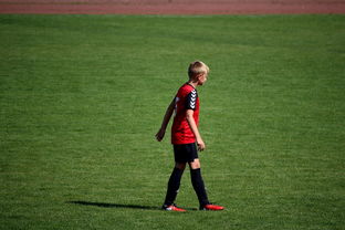 NBA球员高原训练对平原比赛状态的影响，平原运动员进行高原训练原因