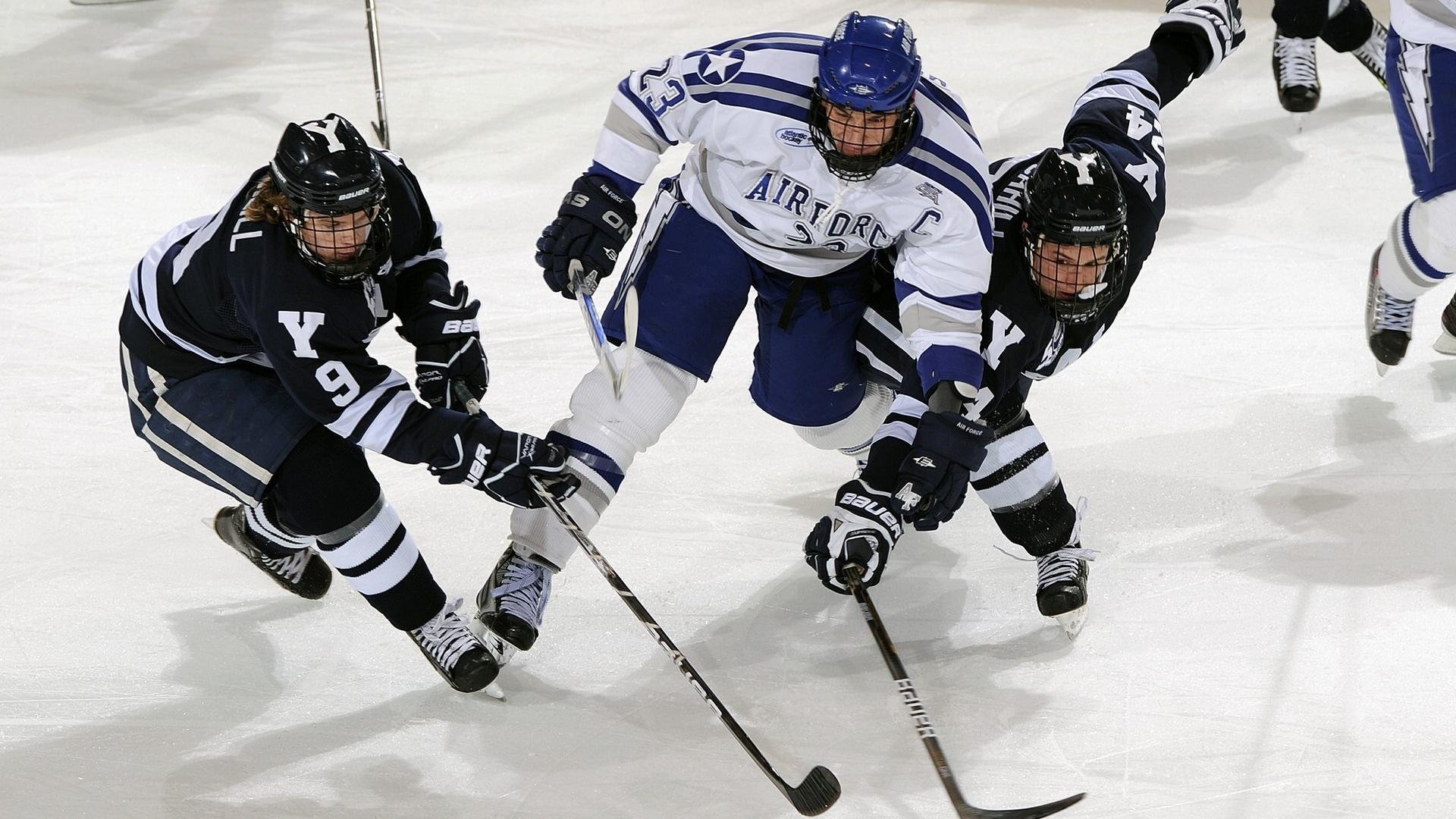 高校体育专业发展趋势分析及人才培养对策研究，关于体育专业未来的发展趋势